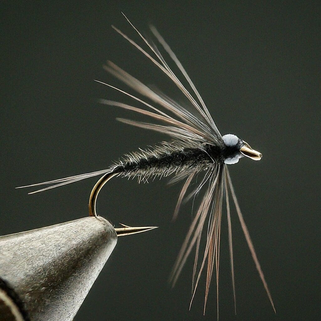 Black Griffith Gnat Size 18
