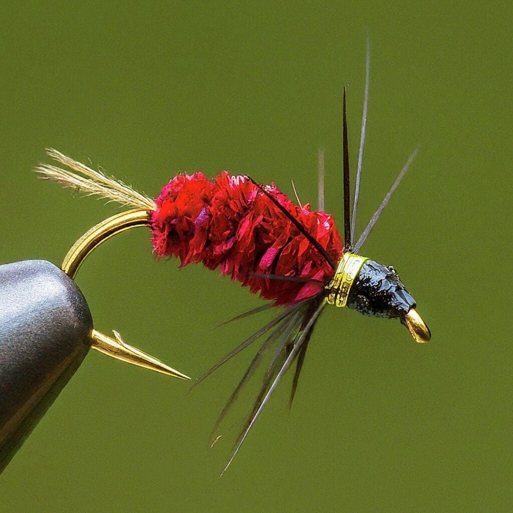 Red Griffith Gnat Nymph