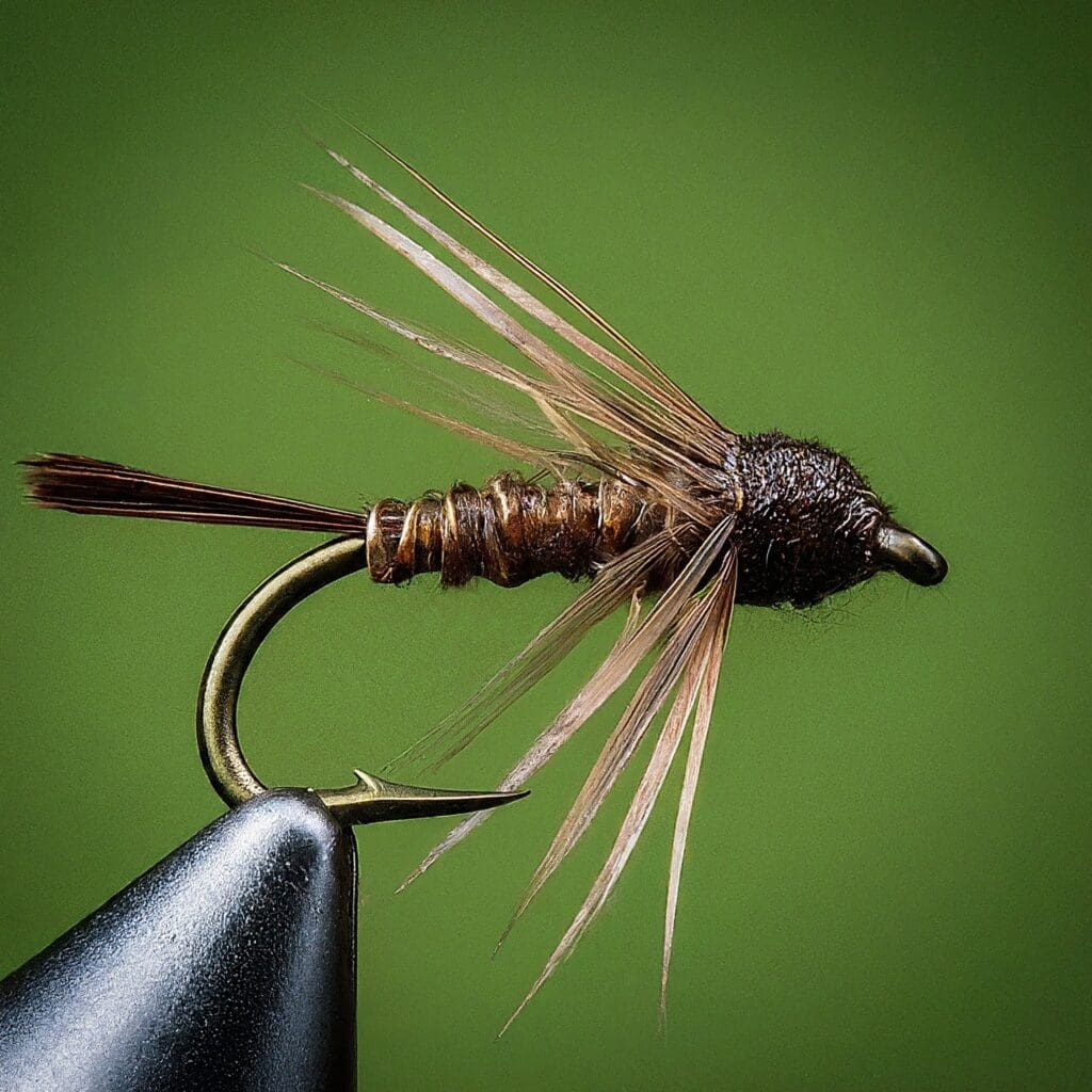 Brown Griffith Gnat Nymph