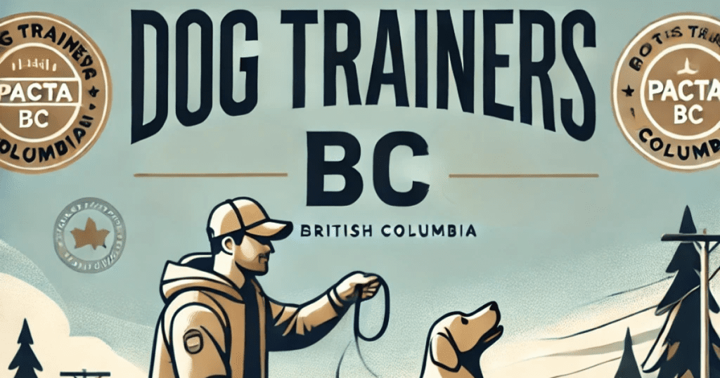 Dog trainer in BC. Trainer kneeling in a park, teaching a dog with a leash.