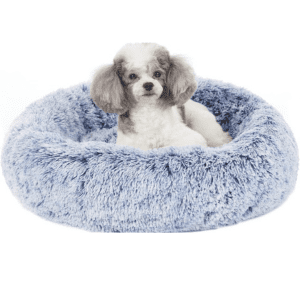 Small poodle resting comfortably in a fluffy, blue Bedfolks calming donut dog bed.