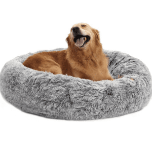 Golden retriever lounging in a soft, gray Bedfolks calming donut dog bed.