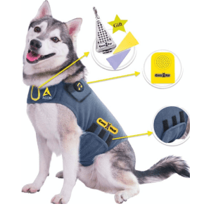 Husky wearing a multi-functional anxiety jacket with calming music and scent features for travel.