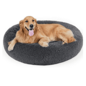 Large golden retriever relaxing comfortably in a soft, gray DogBaby calming donut dog bed.