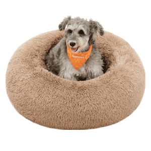 Small dog sitting comfortably in a soft, plush Feandrea calming donut dog bed.