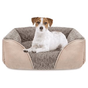 Small dog lounging comfortably in a cozy, soft INVENHO medium dog bed with raised sides.