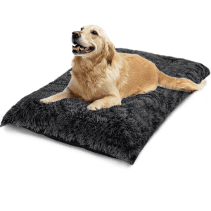 Golden retriever relaxing on a large, soft, plush Seasonwood dog bed in black colour.