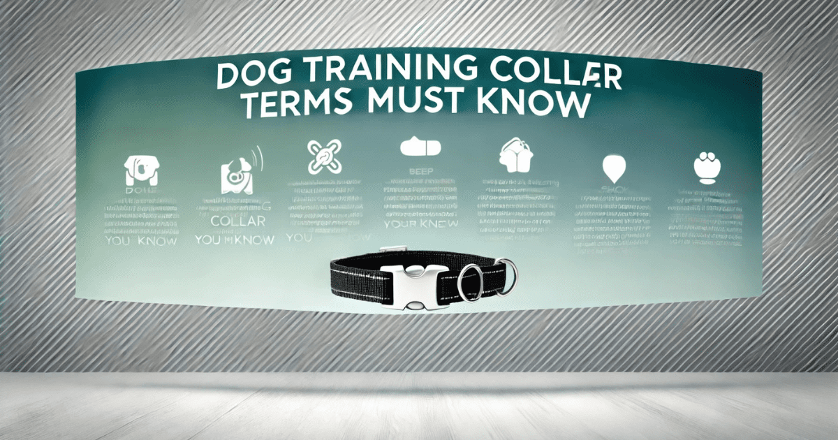Dog Training Terms for Collars Diagram illustrating key dog training terms for collars