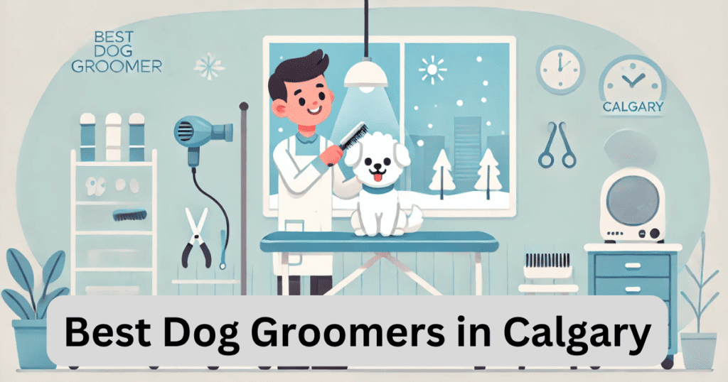 Best Dog Groomers in Calgary featuring a groomer brushing a small dog in a tidy salon.