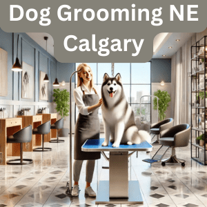 A premium Best Dog Grooming NE Calgary salon featuring a groomer with a happy Husky.