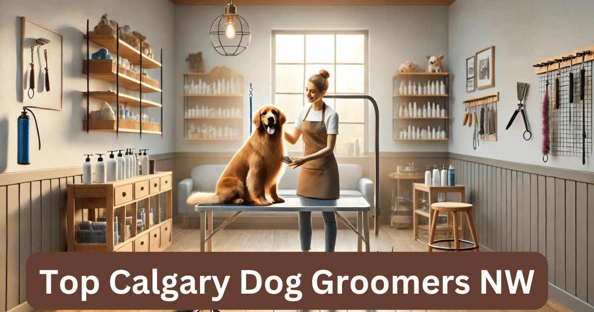 A modern Calgary dog groomers NW salon featuring a groomer and a happy golden retriever.