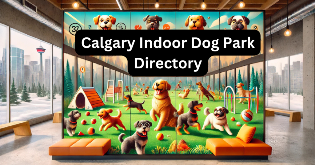 Calgary indoor dog park directory with a vibrant background and playful dogs enjoying activities.