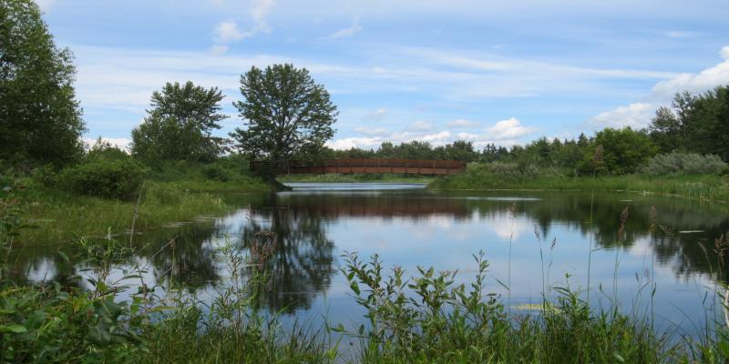 Scenic McKenzie Trails Recreational Area with pond and bridge