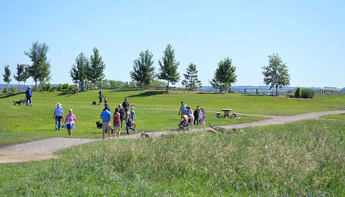 People and dogs enjoying Oxbows Off Leash Dog Park on a sunny day