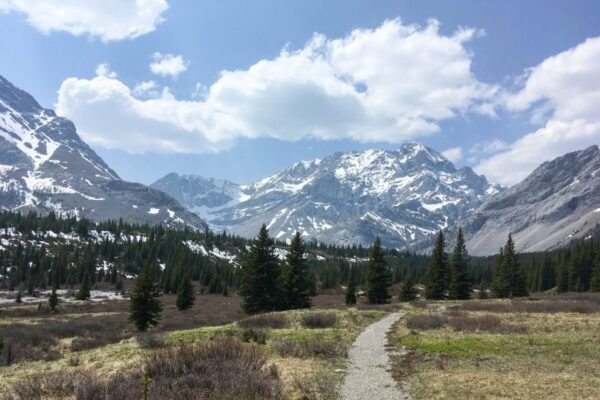 Scenic trail leading to Tombstone Backcountry Campground with snow-capped mountains in the background.